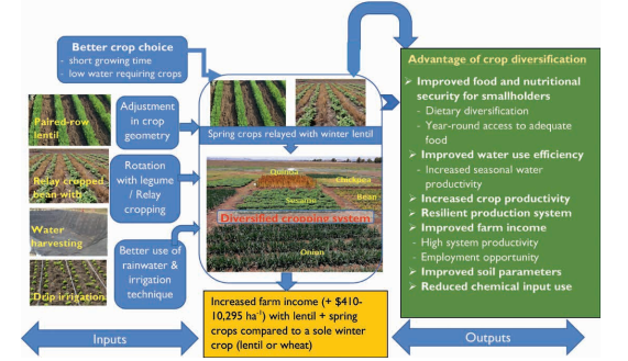 Agroecological transformation for sustainable food systems